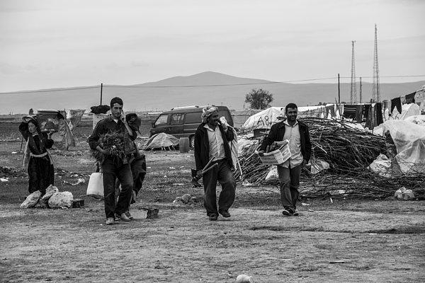 11. Güneşin batışına kadar tarlada çalışan tarım işçileri çadır alanına dönerlerken yüzlerindeki rahatlama görülüyor.
