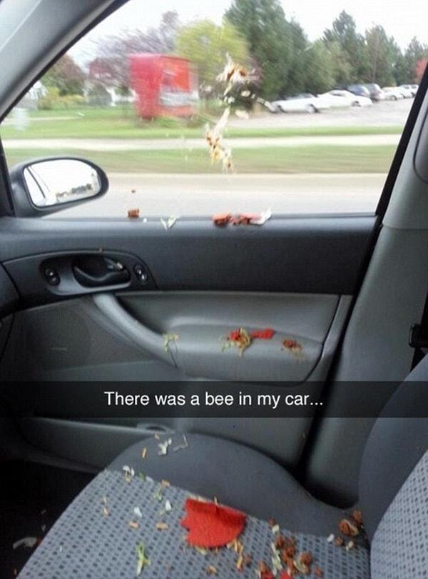 3. Arabanıza giren tek canlı siz olacaksınız diye bir şey yok. Arılar bu konuda başarılı. Arıları gideceğiniz yere bırakın.