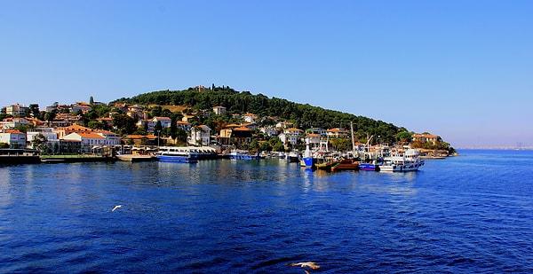 2. İstanbul'da Prens Adaları olarak da bilinen ada takımında kaç adet ada vardır?
