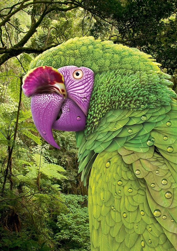 13. Зеленый попугай