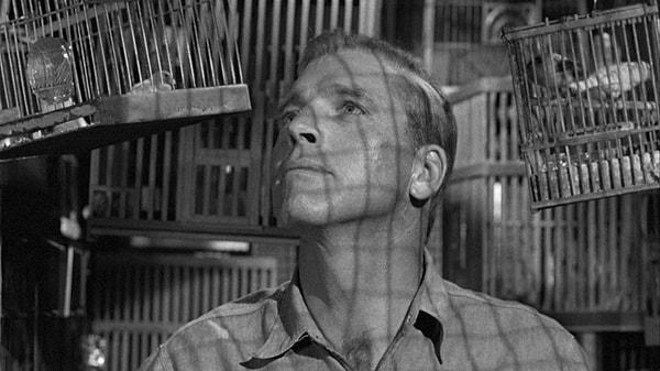 9. Alkatraz Kuşçusu / Birdman of Alcatraz (1962)