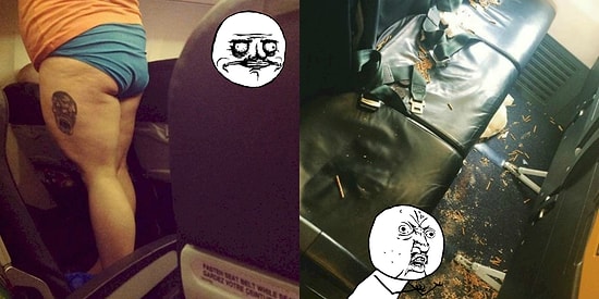 Летающие свиньи: люди, которые точно попали в черный список всех авиакомпаний