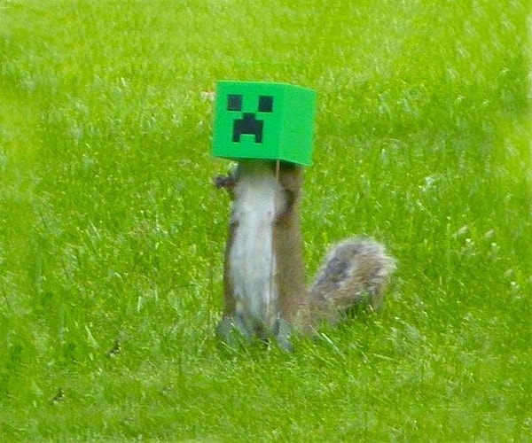 7. Приобрети кормушку для птиц и белок в стиле Minecraft 👍