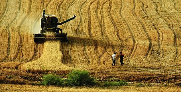 1- Tarım arazisi denilince toprak akla gelir. Toprak ise içinde yaşayan canlılarla birlikte bir bütündür. Bu canlılar toprağı bitkisel üretim için hazırlar. Ancak 60’lı yıllardan başlayarak ilaç ve gıda tekelleri tarafından “Yeşil Devrim” adıyla kamuoyuna sunulan ‘kimyasalların kullanımı’ topraktaki bu canlıları öldürmeye başlamış ve toprağın canlılığını zaman içinde yoketmiştir. Artık geriye toprak görünümlü ‘kum taneleri’ kalmakta bitkisel üretim zayıflamaktadır.