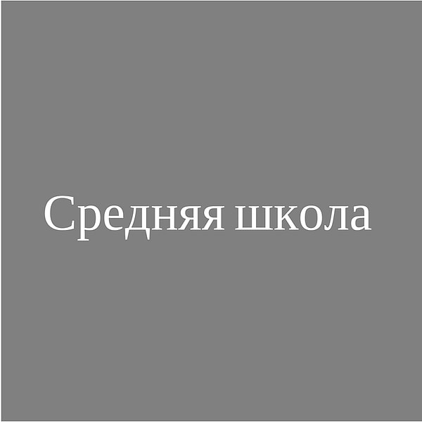 Средняя школа