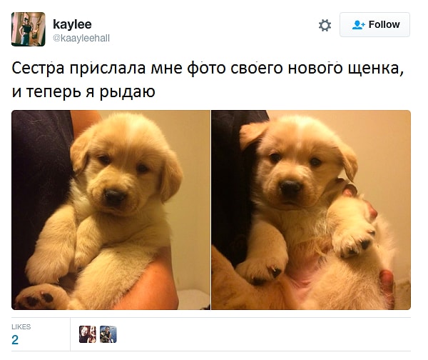 3. Уютный комочек счастья