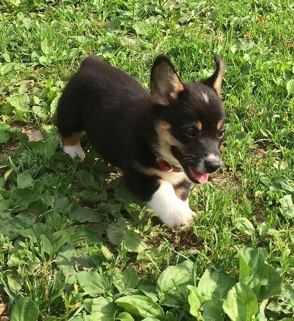 6. Маленькая леди на очень серьезном задании