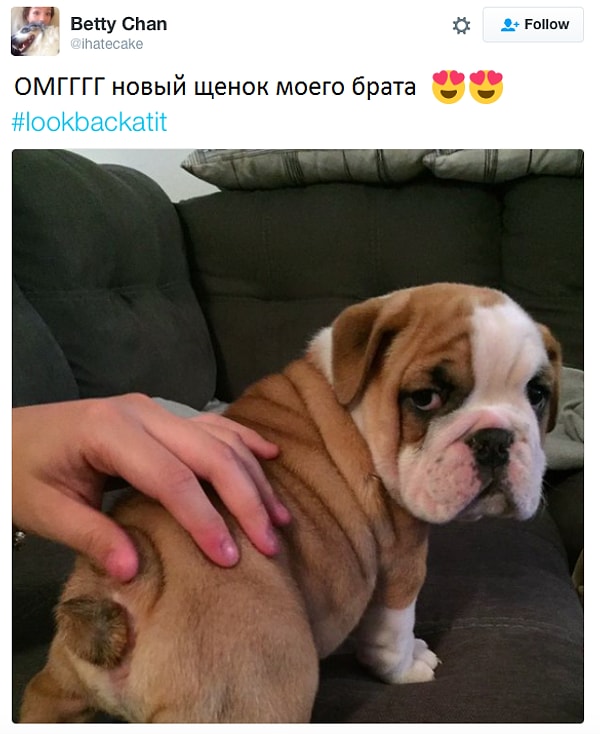 7. Щекан, осознающий как важно беречь заднюю часть тела