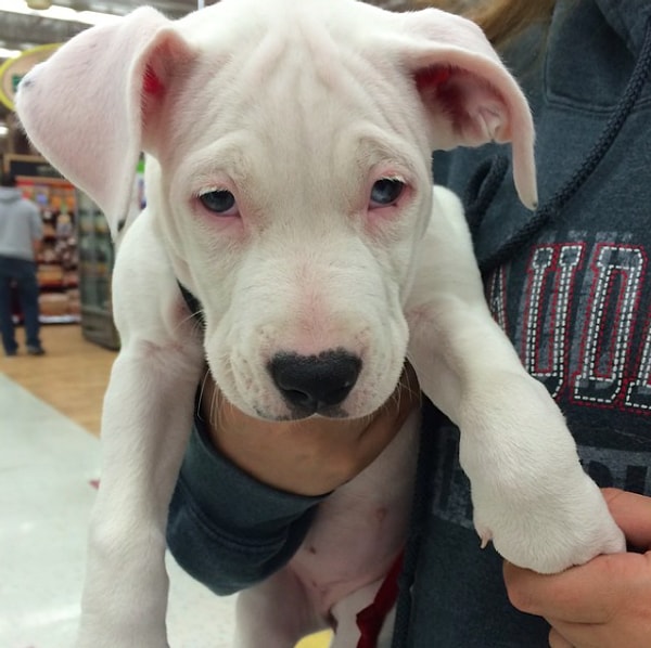10. Не отказался бы вздремнуть с часок