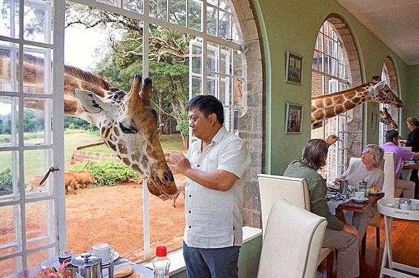 4. Zürafa Malikanesi, Kenya