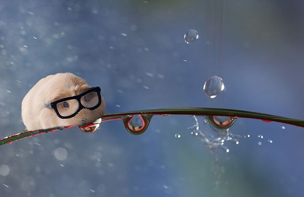 4. Гусеничка