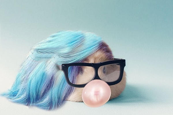 7. Типичный инстаграммер