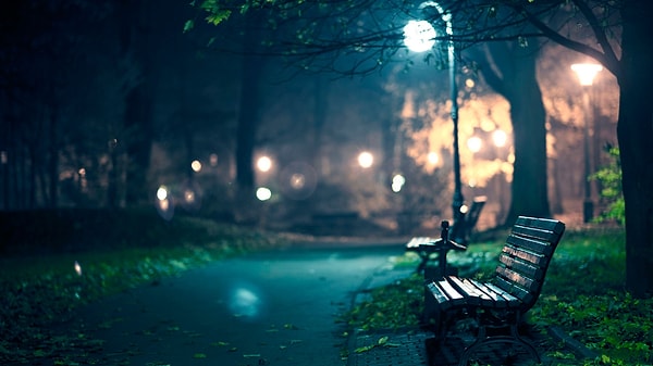 5. В ночном парке