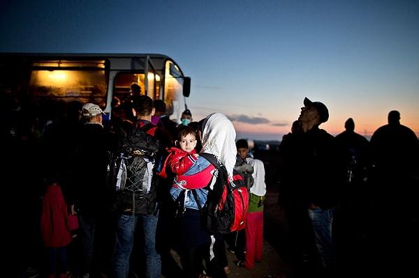 Türkiye'nin yarısı hükümetin savaştan kaçan mülteciler için daha fazla adım atması gerektiğini düşünüyor