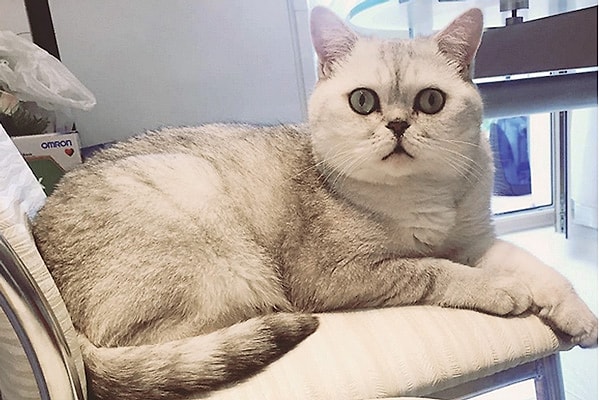 1. Ксения Бородина