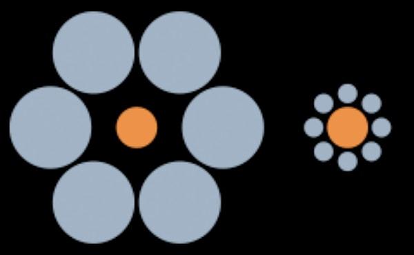 6. Pekii görseldeki turuncu çemberler aynı boyutta mıdır?