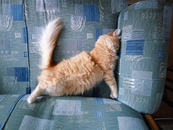 16. Смерть под давлением