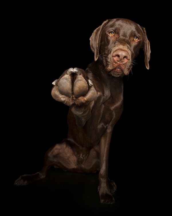 2. "Эй, ты. Подожди секунду"