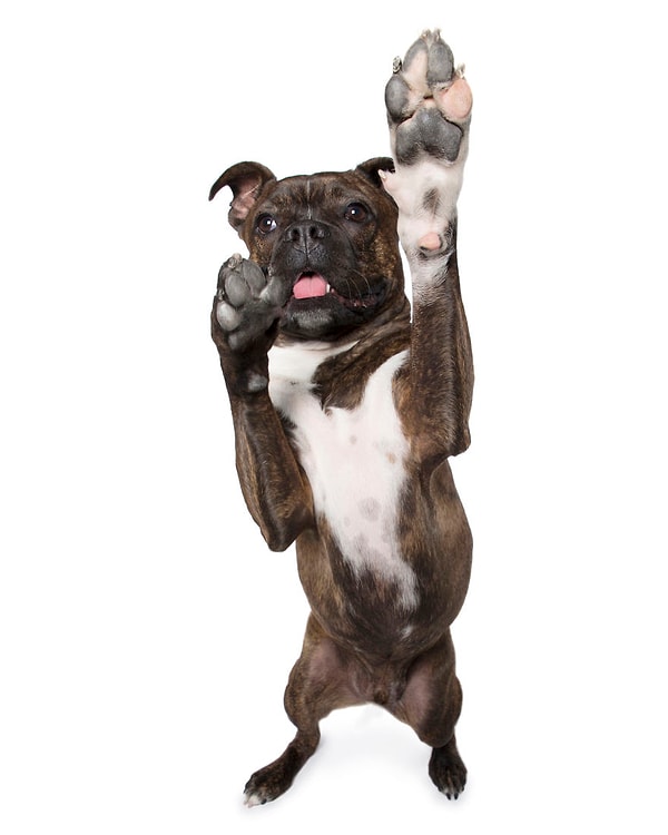 3. "Дай пять"