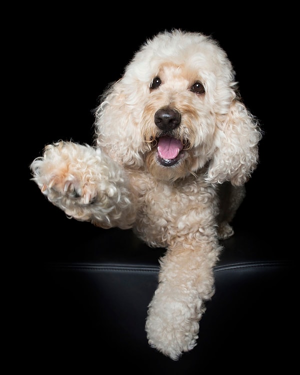 18. "Хэ-э-э-эй!"