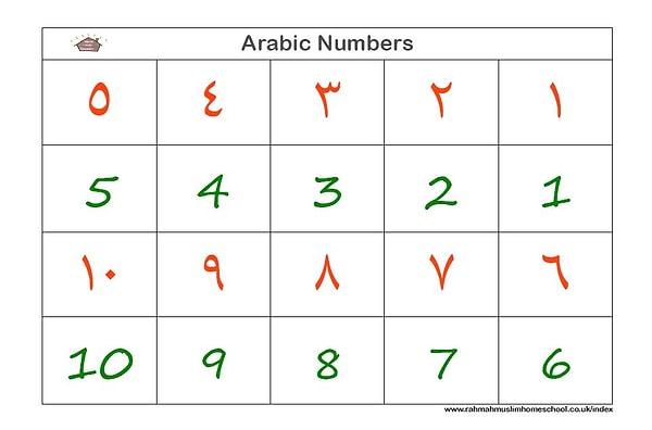17. Günümüzde Araplar tarafından kullanılan ve Arap rakamı olarak bilinen rakamları icat edenler esas olarak Hintli matematikçilerdir.