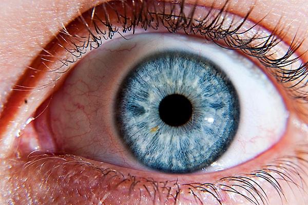2. Gözlerimizin her birinde aşağı yukarı 107 milyon hücre bulunur ve bu hücrelerin tamamı ışığa duyarlıdır.