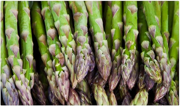 18. Спаржа