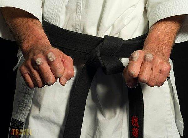 Goju-ryu, öğrencilerinin bir çoğu oldukça ünlü Karate ustaları olan Kanryo Higashionna'ın Naha-Te stilinden gelişerek meydana gelmiştir.