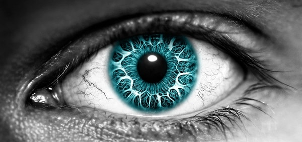 Вы очень наблюдательны!