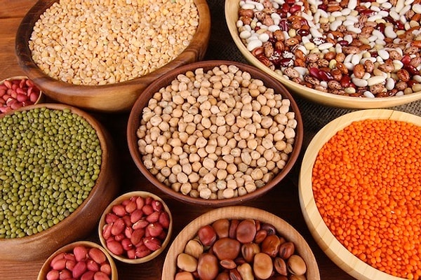 8. Зерновые и зернобобовые культуры.