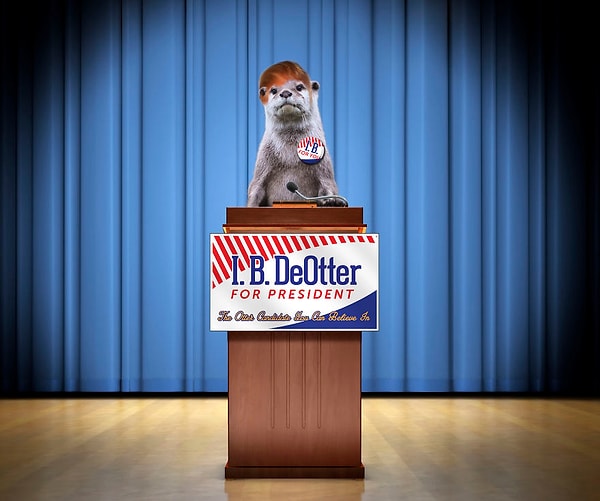 12. Выдру в президенты!