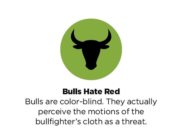 14. "Bulls hate red" 🐃
