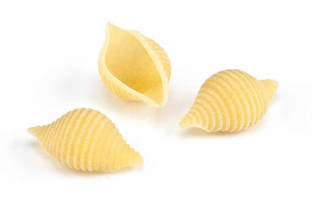 8. Conchiglie