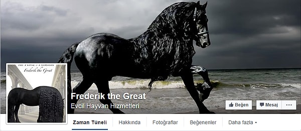 8. И даже открыли для неё страничку в Фейсбуке.