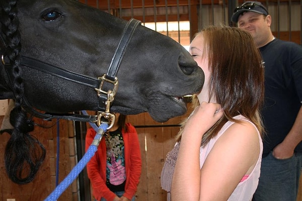 11. Многие приезжают специально, только бы увидеть его "вживую".