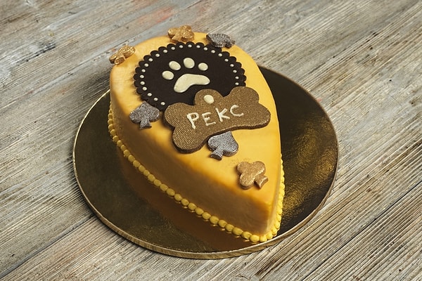 8. К тому же во время "Евровидения" зарубежные журналисты очень интересовались "Пуделем-штруделем".