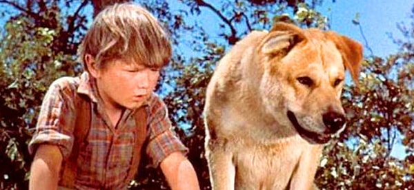 16. Брехун, "Старый Брехун"