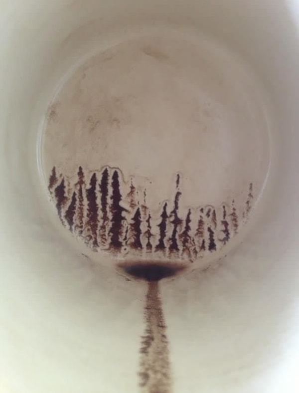 3. Очертания леса на дне кофейной чашки