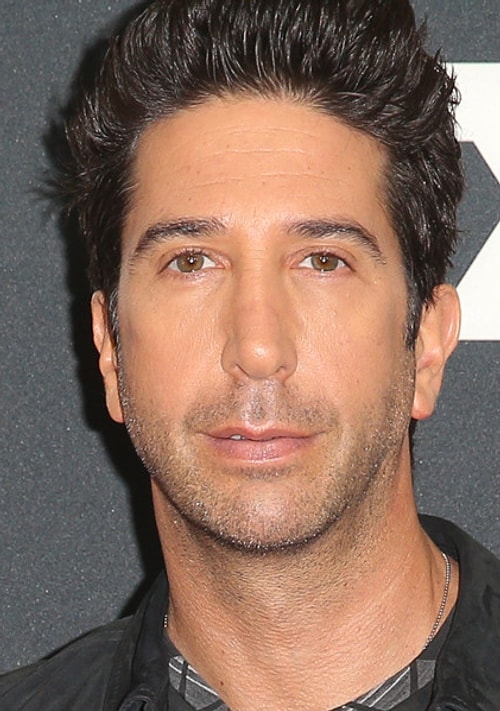 David Schwimmer (Ross Geller)