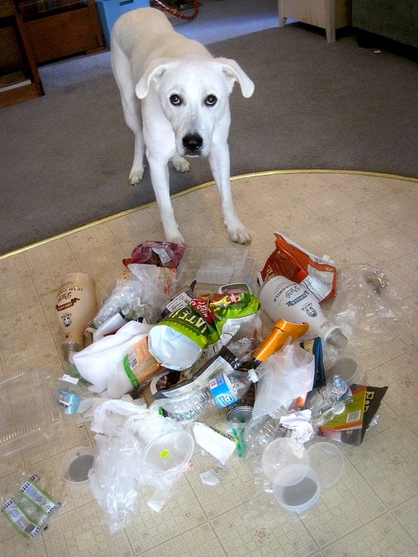 13. Как тебе? Это я все для тебя собрал.