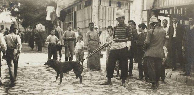 Her köpek kendi sokağının bir sakini gibiydi. Halktan destek gelmeyince bu işler paraya muhtaç olan insanlara, serserilere havale edildi.