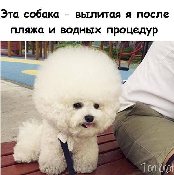 4. А если все-таки искупалась, то: