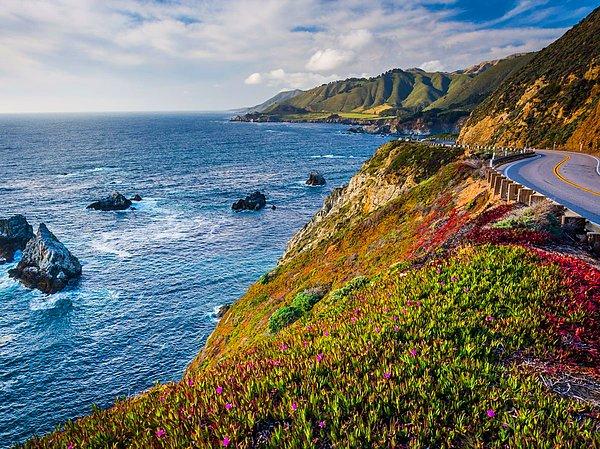 13. Kaliforniya'daki Pasifik Kıyısı Otoyolu sahil yolunda seyahat etmeyi sevenler için bir cennet. Yol üzerinde restoranlar, plajlar ve turistik yerler var.