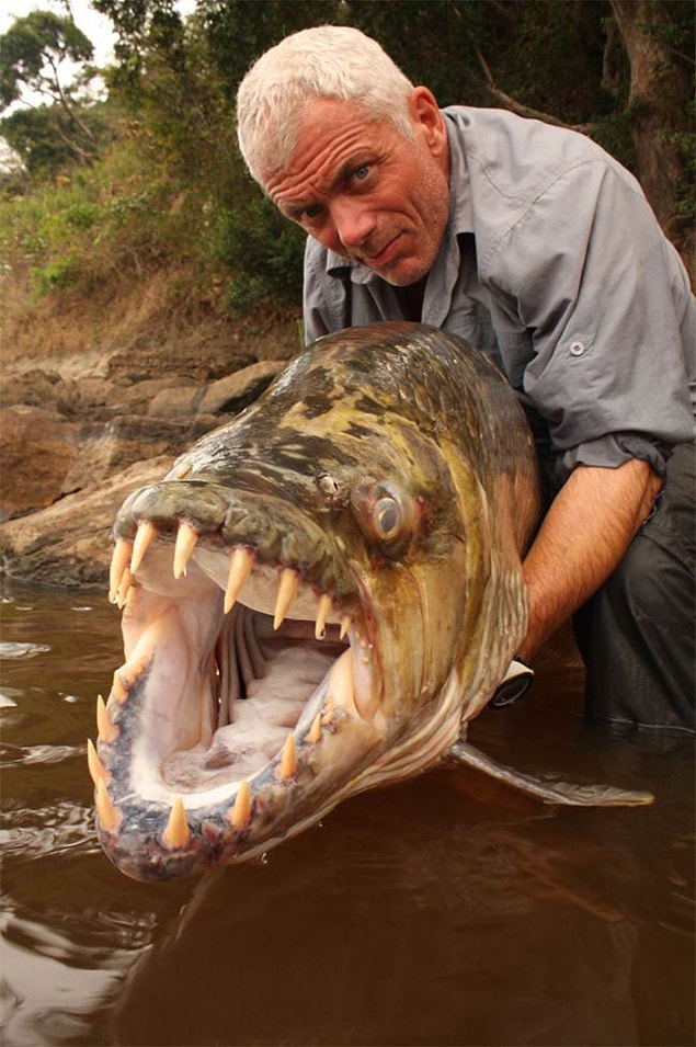 17. Monster Fish