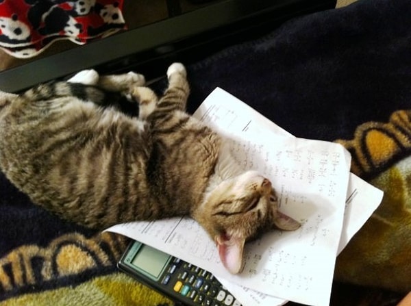 5. "Не смотри на это, смотри на меня"