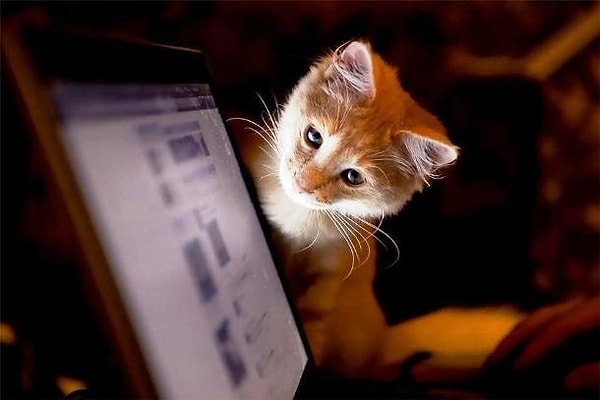 13. "Опять в Facebook сидишь? А ну, пиши диплом!"