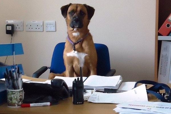 23. "Верь мне, у меня диплом"