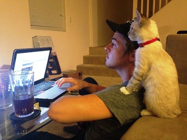 25. "Выглядит нормально. Продолжай"