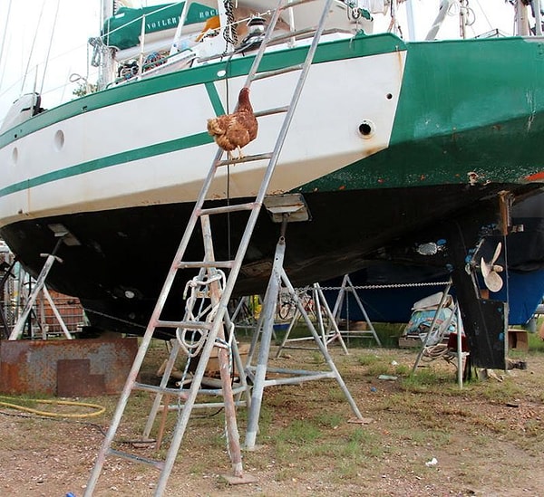 14. Моник даже научилась немного ухаживать за лодкой
