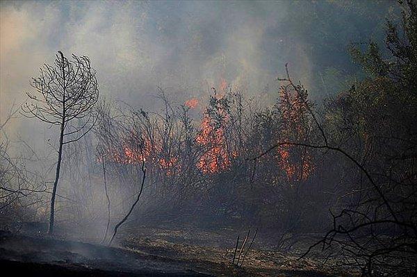 Antalya'da 2 gündür orman yangınları yaşanıyor